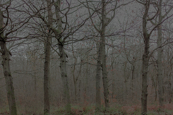 031214 #13