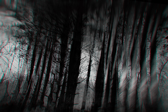 110214 #463-4