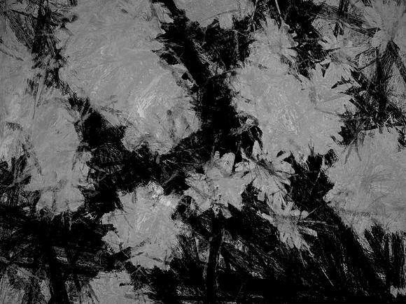 23-19