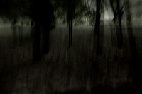 2013-09-30v2-194-3