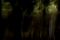 2013-09-30v2-194-8-2