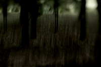 2013-09-30v2-194-6