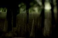 2013-09-30v2-194-7