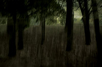 2013-09-30v2-194-2