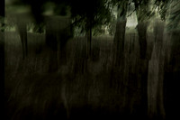 2013-09-30v2-194-4