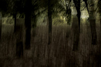 2013-09-30v2-194
