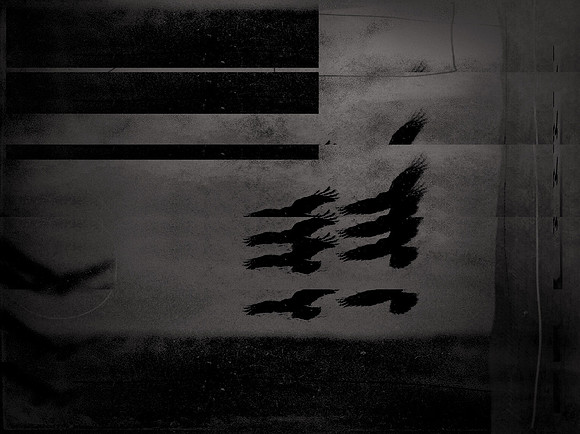 5-50