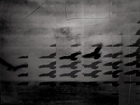 5-19