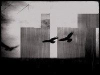 5-6