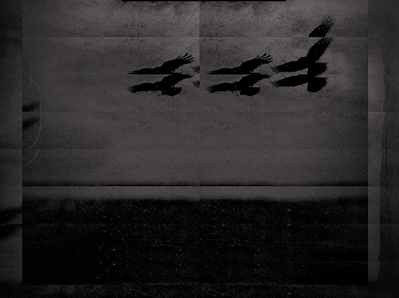 5-36