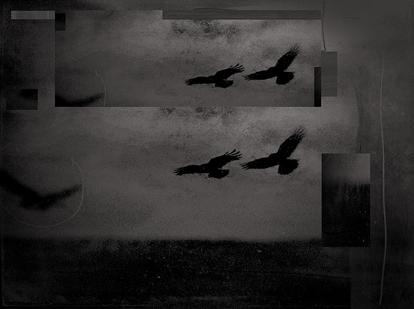 5-29