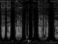 13-11