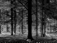 13-9