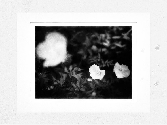 2-91