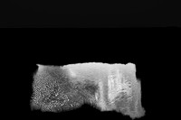 210710-125-7