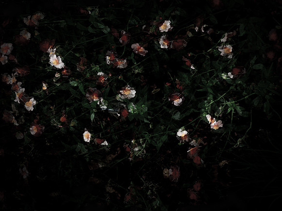 170616-3-3