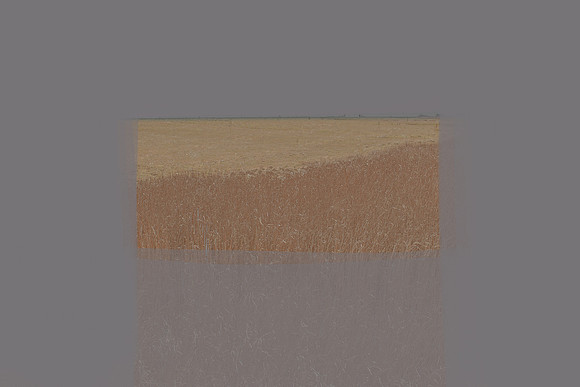 070315#215-5