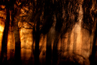 IMG_0189-5-2-2-2