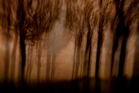 IMG_0189-5-5