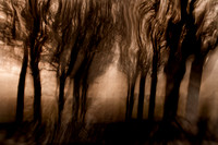 IMG_0189-5-4