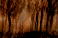 IMG_0189-5-4-2