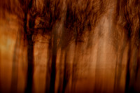 IMG_0189-5-2-3