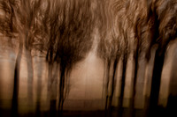 IMG_0189-5-3