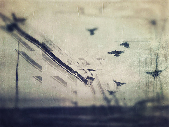 11-136