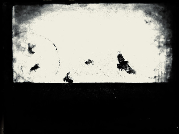 11-201