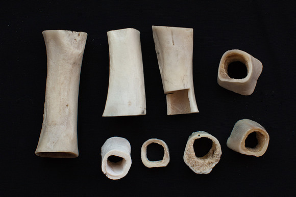 bones photo 1