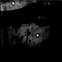 field-210224_53543861470_o