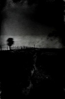 field-220124_53480090369_o