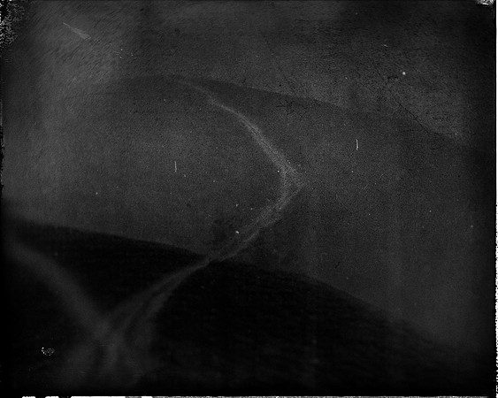 field-250224_53549974882_o