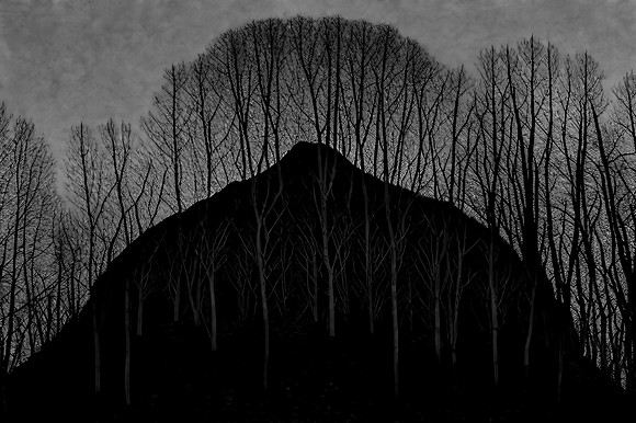 nnw-030124_53440203176_o
