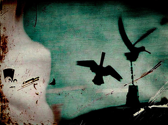 a-murder-of-crows--130723_53044504653_o