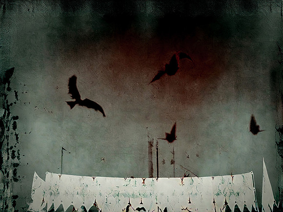a-murder-of-crows--delhi--140723_53046155273_o