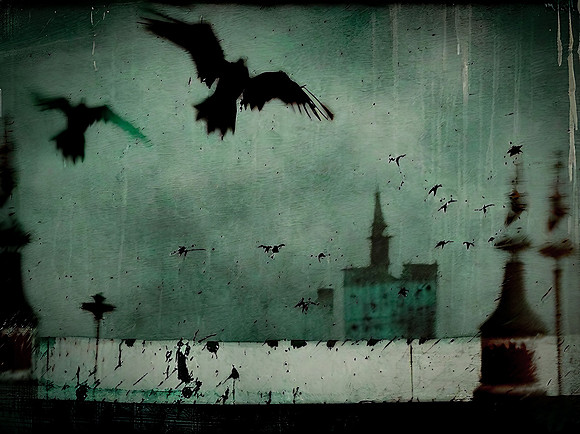 a-murder-of-crows--delhi--150723_53048424284_o