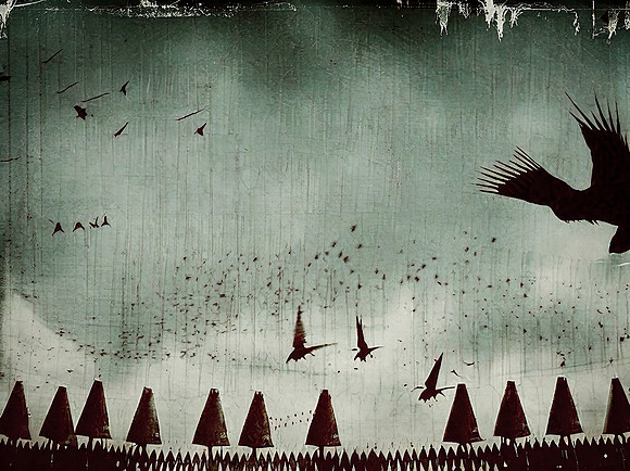 a-murder-of-crows--delhi--230723_53066965255_o