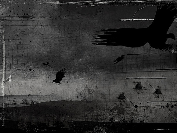 a-murder-of-crows-190723_53058021931_o