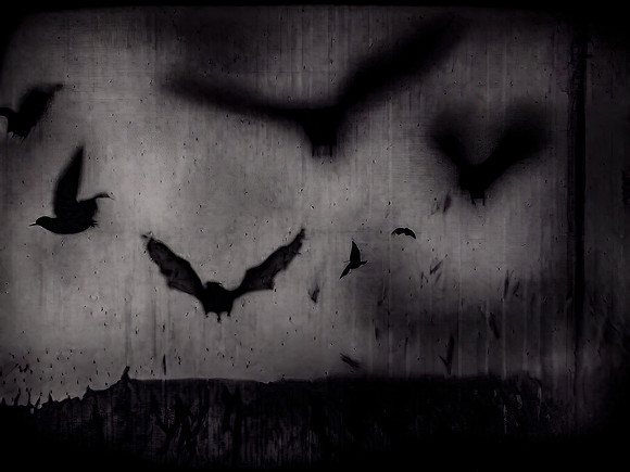 a-murder-of-crows-250723_53070831592_o