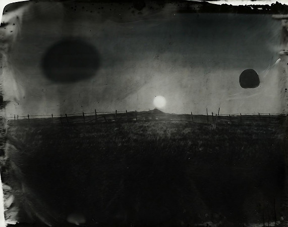 field-081223_53384649871_o