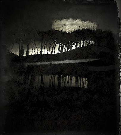 field-311223_53432395970_o