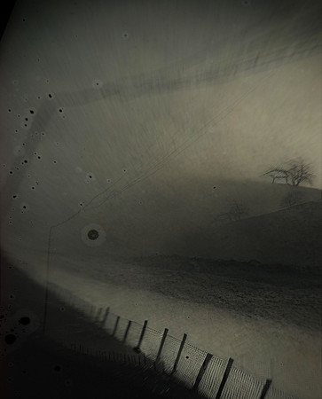 field-030324_53565841214_o