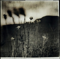 field-040224_53508682661_o