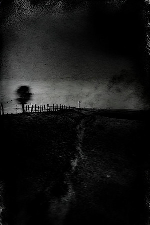 field-220124_53480090369_o
