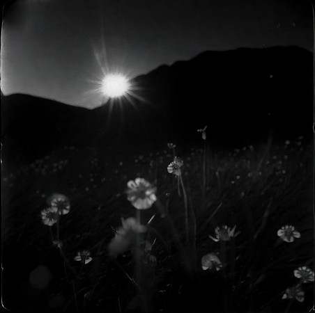 field-230124_53483450829_o