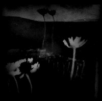 field-2202242_53545907676_o