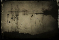 lake-020224_53505047060_o