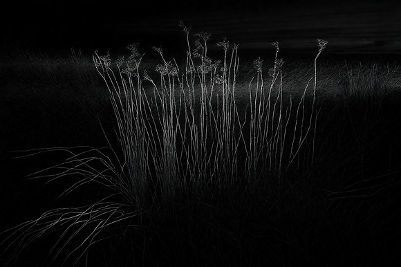 river-110124_53457559216_o