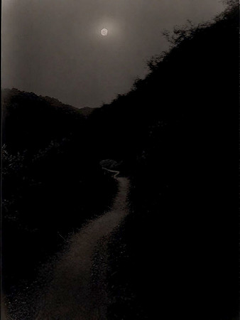 road-020124_53437260817_o